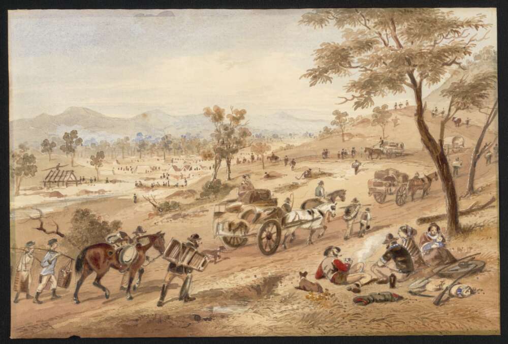 Goldfields on sale